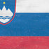 Slovenia Flag Distressed PS4 Console and Controller Bundle Skin